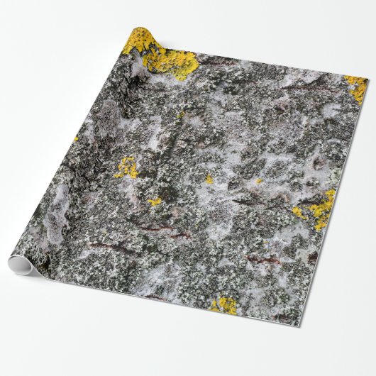 Birch en Lichen Cadeaupapier (Uitgerold)