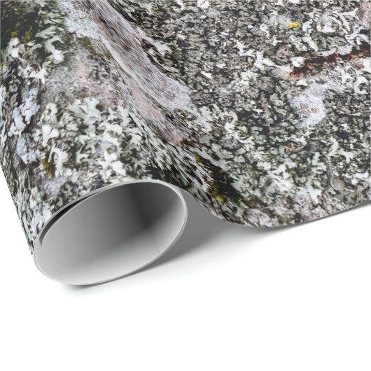Birch en Lichen Cadeaupapier (Rol Hoek)