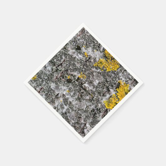 Birch en Lichen Servetten (Hoek)