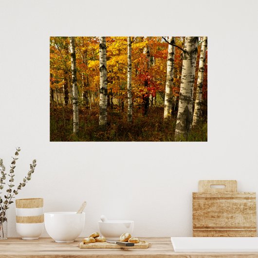 Birch Forest Poster (Keuken)