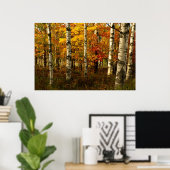 Birch Forest Poster (Thuiskantoor)