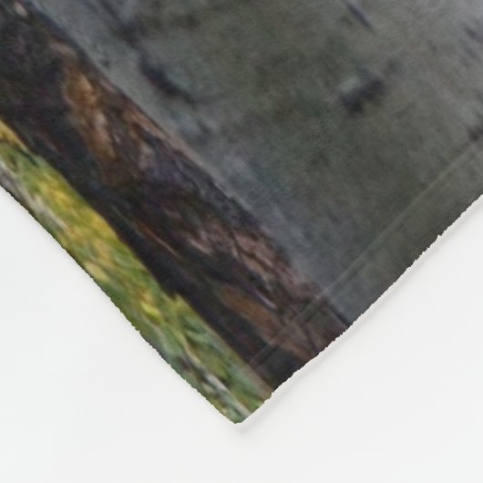 Birch Forest rustic Fleece deken (Hoek)