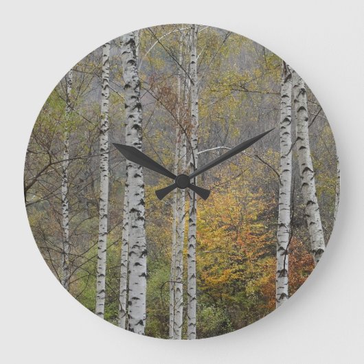Birch Forrest herfst Foto Round Wall klok (Voorkant)