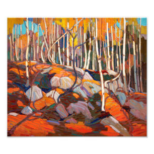 Birch Grove, herfst   Tom Thomson   Foto Afdruk