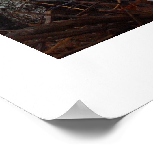 Birch Grove Poster (Hoek)