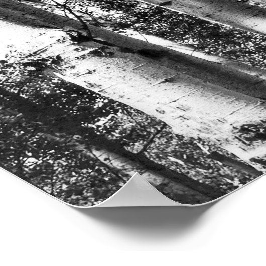Birch Grove Poster (Hoek)