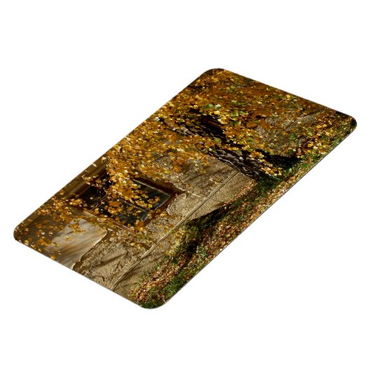 Birch in het najaar magneet (Linkerzijde)