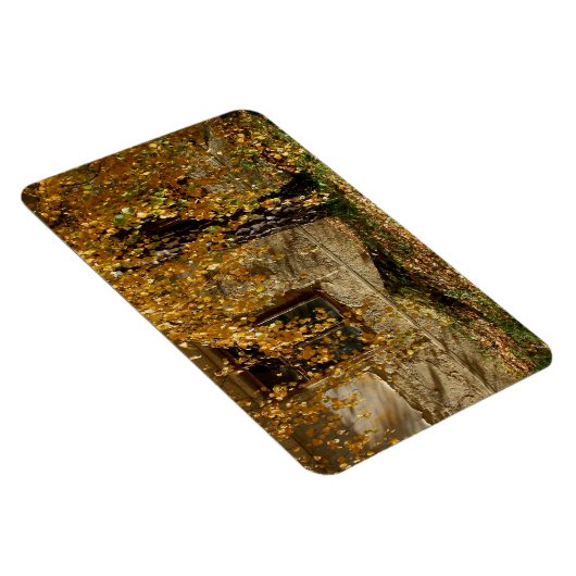 Birch in het najaar magneet (Rechterzijde)