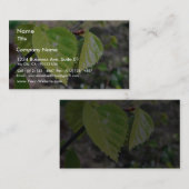 Birch Leaves Green Leaves Visitekaartje (Voorkant / Achterkant)