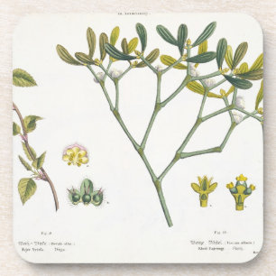 Birch (links) en Mistletoe (rechts), fig. 9 en 10 Drankjes Onderzetter