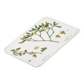 Birch (links) en Mistletoe (rechts), fig. 9 en 10 Magneet (Linkerzijde)