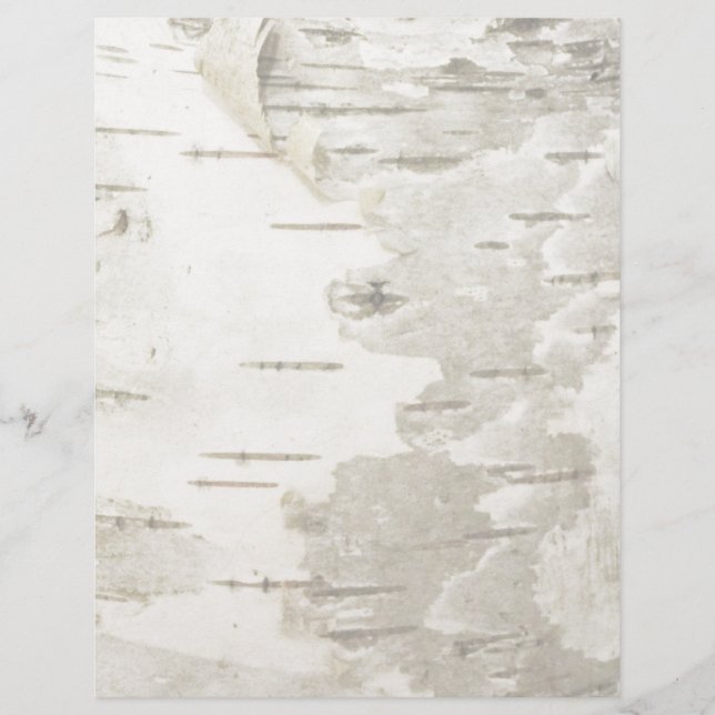 Birch lite (Voorkant)