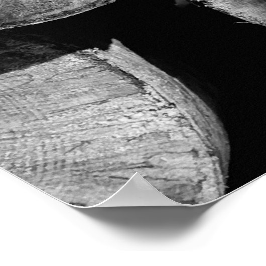 Birch logs poster (Hoek)