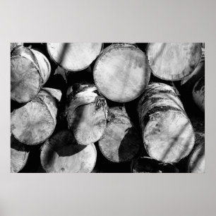 Birch logs poster
