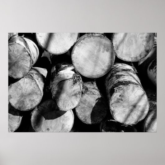 Birch logs poster (Voorkant)