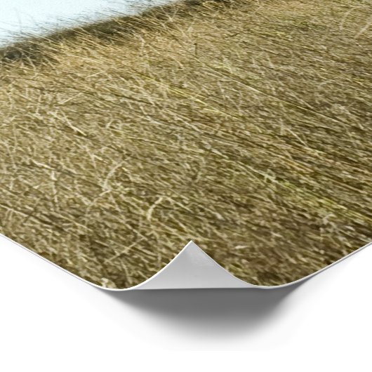 Birch Poster (Hoek)