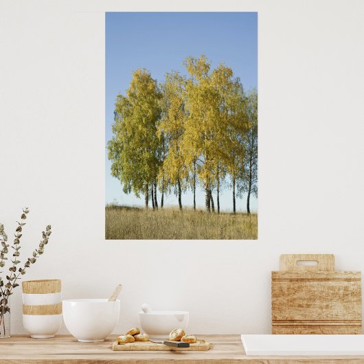 Birch Poster (Keuken)