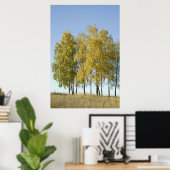 Birch Poster (Thuiskantoor)