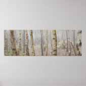 BIRCH POSTER (Voorkant)