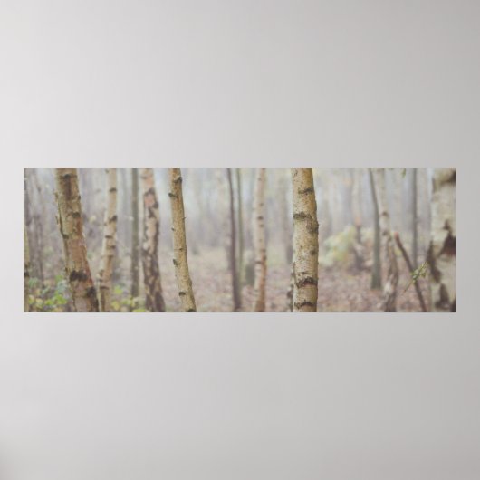 BIRCH POSTER (Voorkant)