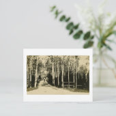 Birch Road Harbor Beach Resort, Michigan Briefkaart (Staand voorkant)