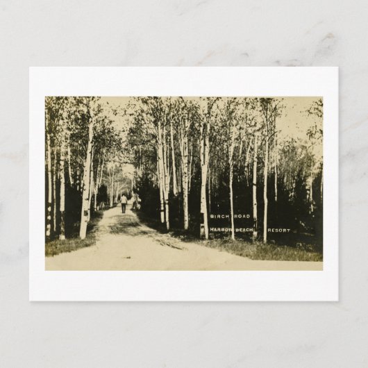 Birch Road Harbor Beach Resort, Michigan Briefkaart (Voorkant)