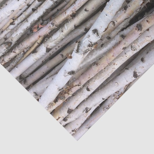 Birch Tissuepapier (Detail)