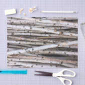 Birch Tissuepapier (Craft)