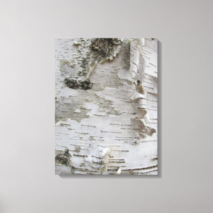 Birch Tree Bark Peeled Old Art Photo Canvas Afdruk
