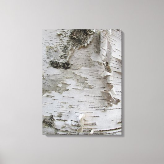 Birch Tree Bark Peeled Old Art Photo Canvas Afdruk (Voorkant)