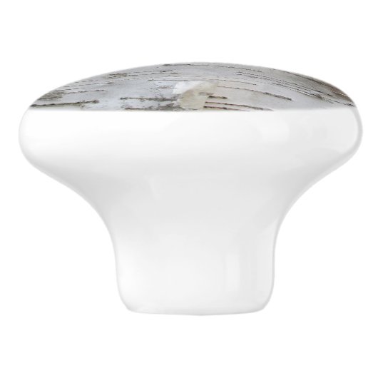 Birch Tree Bark Peeled Old Art Photo Keramische Knop (Zijkant)