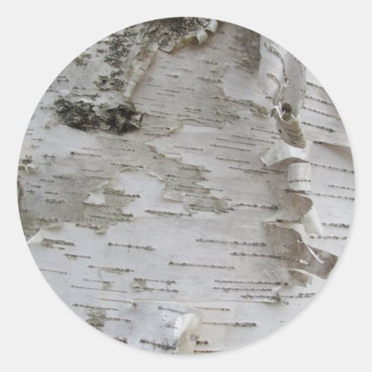 Birch Tree Bark Peeled Old Art Photo Ronde Sticker (Voorkant)