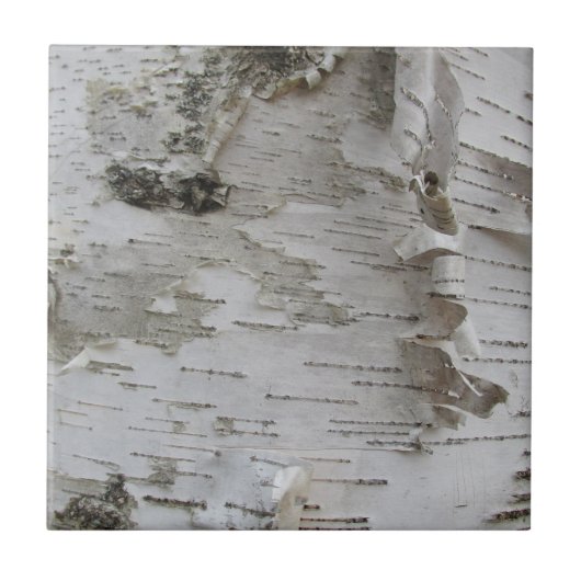 Birch Tree Bark Peeled Old Art Photo Tegeltje (Voorkant)