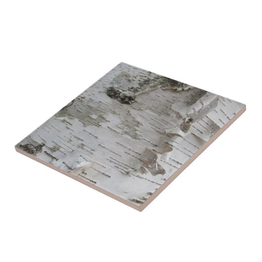 Birch Tree Bark Peeled Old Art Photo Tegeltje (Zijkant)