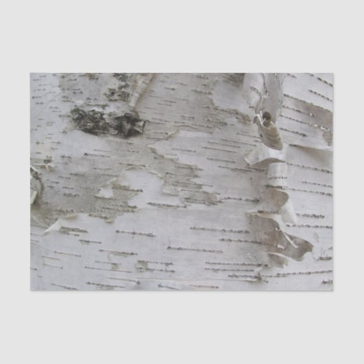 Birch Tree Bark Peeled Old Art Photo Tissuepapier (Voorkant)