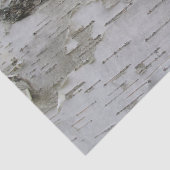 Birch Tree Bark Peeled Old Art Photo Tissuepapier (Detail)