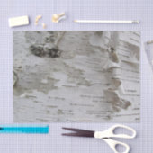 Birch Tree Bark Peeled Old Art Photo Tissuepapier (Craft)