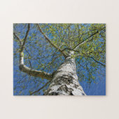 Birch Tree Crown Foto - Legpuzzel (Horizontaal)