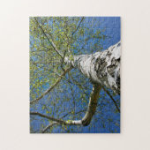 Birch Tree Crown Foto - Legpuzzel (Verticaal)