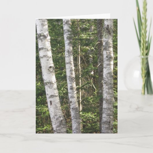 Birch Tree Greeting Card Kaart (Voorkant)