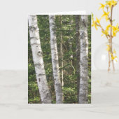 Birch Tree Greeting Card Kaart (Gele Bloem)