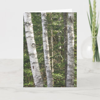 Birch Tree Greeting Card Kaart