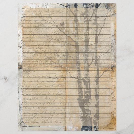 Birch Tree Oud manuscript Briefhoofd (Voorkant)