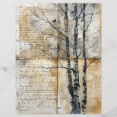 Birch Tree Oud manuscript Briefhoofd (Achterkant)