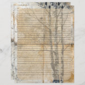 Birch Tree Oud manuscript Briefhoofd (Voorkant / Achterkant)
