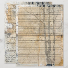 Birch Tree Oud manuscript Briefhoofd