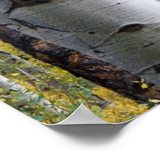 Birch Tree Rustic, speciaal gepersonaliseerd met v Poster (Hoek)