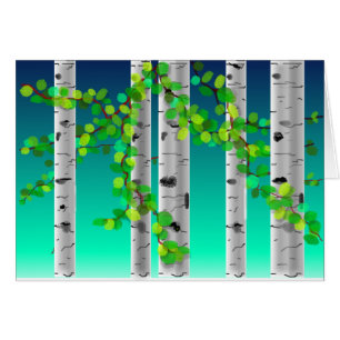 Birch Trees