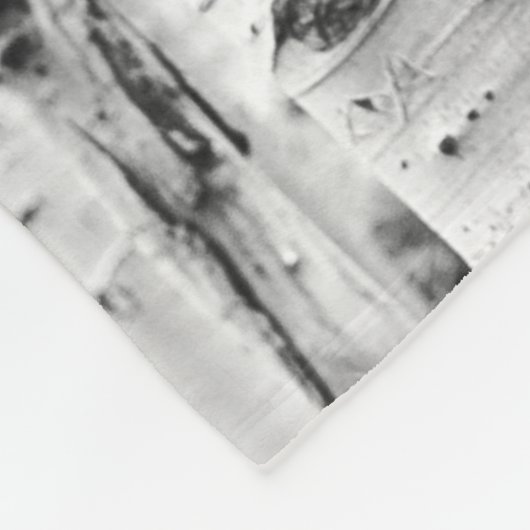 Birch Trees Blanket Fleece Deken (Hoek)