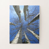 Birch Trees Colorado Legpuzzel (Verticaal)